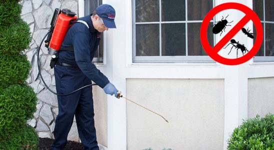 Basınsitesi Gümüşkurt İlaçlama böcek ilaçlama ve haşere kontrolü — ilaclama-tr.com
